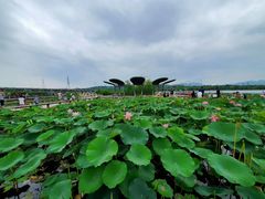 -永定河休闲森林公园