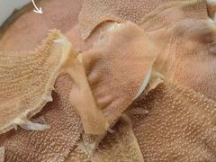 -小板凳·锦州烧烤(高新区店)