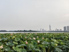 -必胜客(兴隆店)