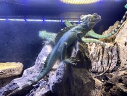 -Zoolung Zoolung动物主题公园(海信广场店)