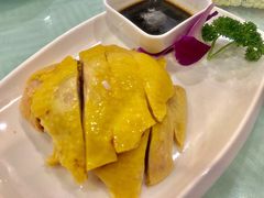 白切农家鸡-江南村酒家