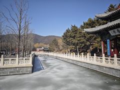 -晋祠公园