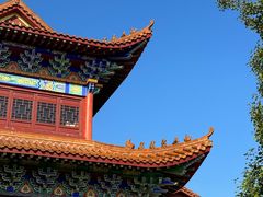 -长沙黑麋峰国家森林公园