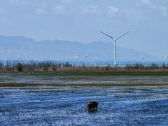 -野鸭湖国家湿地公园