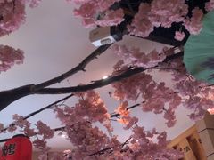 -九田家黑牛烤肉料理(华侨城店)