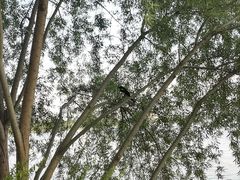 -东湖听涛景区