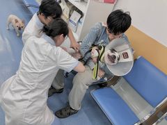 -美联众合动物医院(·中兽医·疑难杂症·严家桥分院)