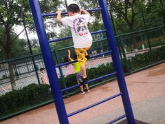 -东升文体公园