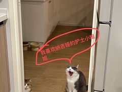 -纳吉亚猫专科动物诊疗中心(蒋宅口分院)