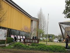 -田园东方蜜桃村的田野营地