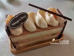 -哈根达斯(石家庄北国店)