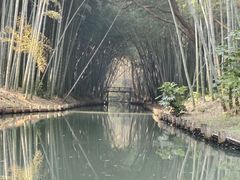 -同里国家湿地公园