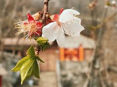 -上方山云水洞