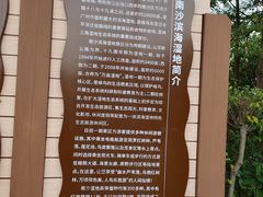 -大湾区中央湿地公园