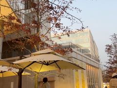 -茑屋书店(天目里店)