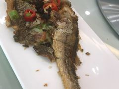 -一麦·龙岛(上海青浦店)