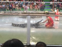 -是拉差龙虎园(Permanently closed)