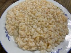 -吾介小籠館