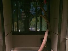 -大拙里·精致融合菜(沙湖桃源国际店)