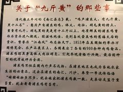 -九斤黄三黄鸡专卖店