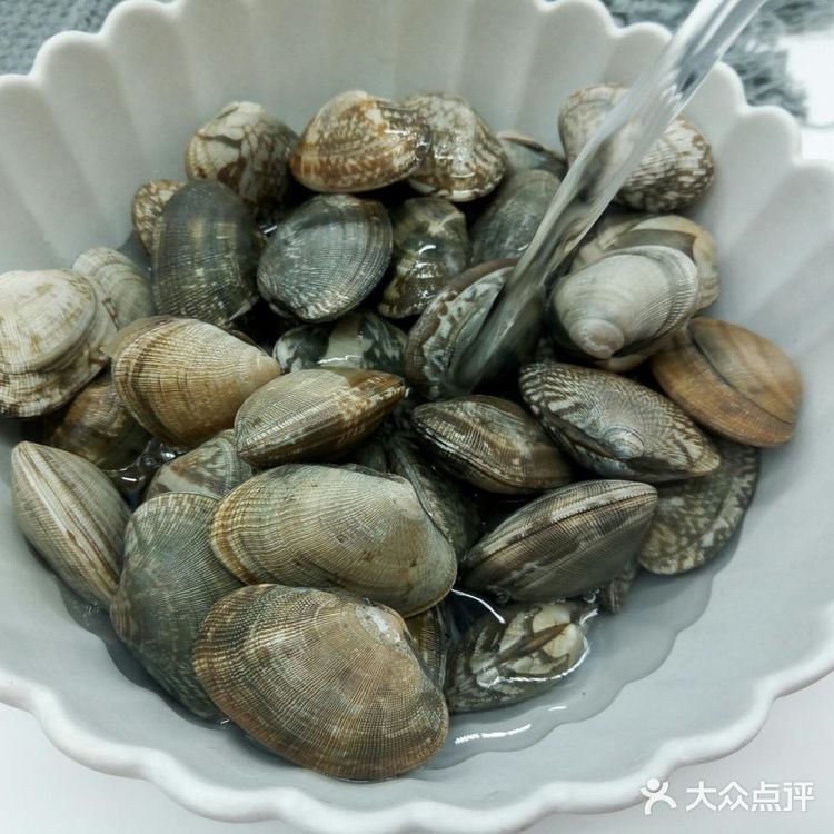 麻辣鲜香炒花蛤,美味下酒菜必备款!