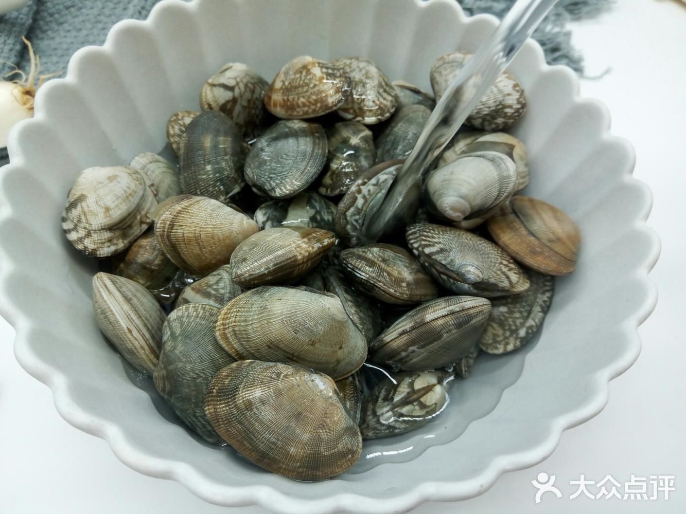 麻辣鲜香炒花蛤，美味下酒菜必备款！