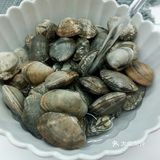 麻辣鲜香炒花蛤，美味下酒菜必备款！