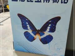 -上海昆虫博物馆