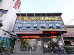 -千城康桥宠物医院CT影像·骨科·心脏专科中心(厚街分院)