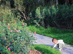 -人民公园(罗湖区)