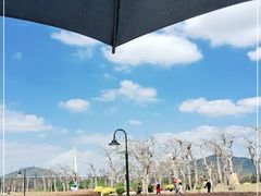 -芒洲湿地公园