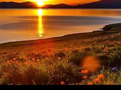 -麦当劳(江滨北路得来速餐厅)