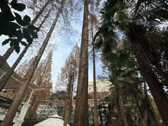 -和平官邸·花园餐厅(武定西路店)