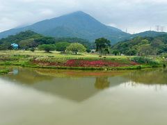 -梧桐山风景名胜区