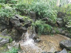 -龙井壹号·茶缘山景宴(龙井村店)