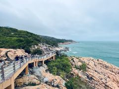 -广东惠东海龟国家级自然保护区