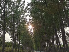 -京北渔家傲