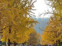 -辽宁大学(崇山校区)