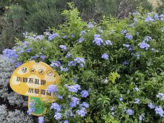 -绝城芋儿鸡(犀浦旗舰店)