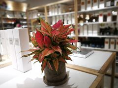 -OCE(熙地港购物中心店)