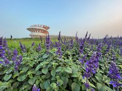 -光明小镇欢乐田园