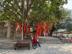 -扬美古镇景区