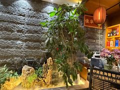 -野菌皇海景野生菌火锅(滨海大道店)