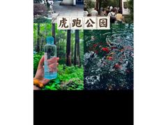 -宋宴(虎跑店)