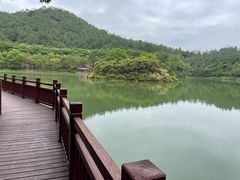 -广州白江湖森林公园