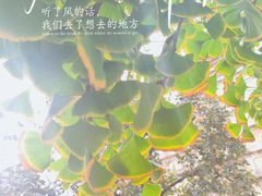 -北京石刻艺术博物馆(五塔寺)