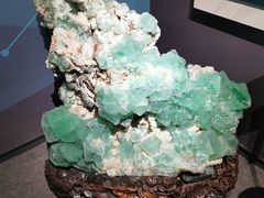 -湖南省地质博物馆