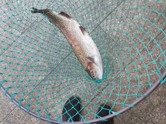 -俺家菜馆(百里峡店)