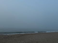 -金梦海湾浴场