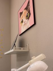 -洗脸猫·洗脸吧